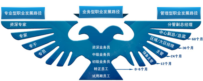 1741087620171886.jpg e7433045092a31e69ad444db42771447_va2VCoyMQLCux0bd2zq7KQ.jpg